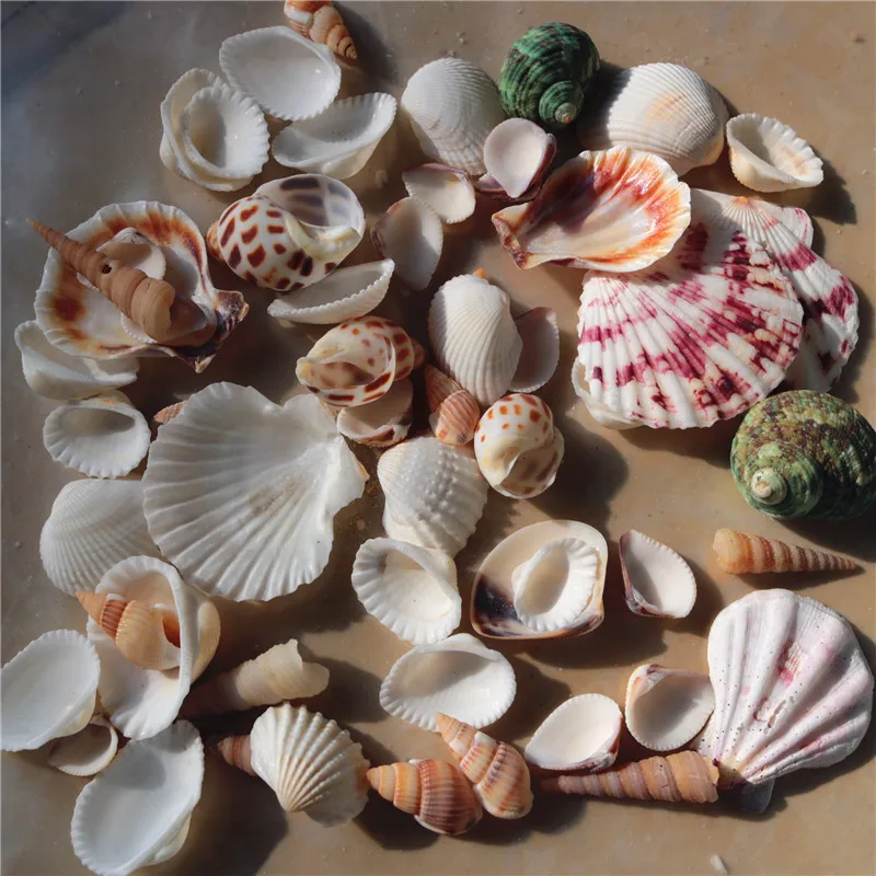 10 15 искусственных ракушек цветные Смешные мини аквариумные украшения для