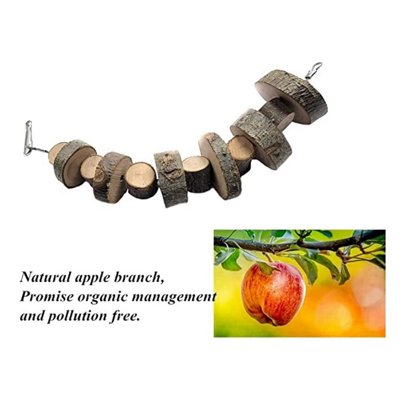 

8PCS Rabbit Pet Tooth Chew Toys with 6PCS Small Animal Activity Toy,for Chinchilla Guinea Pigs Hamsters