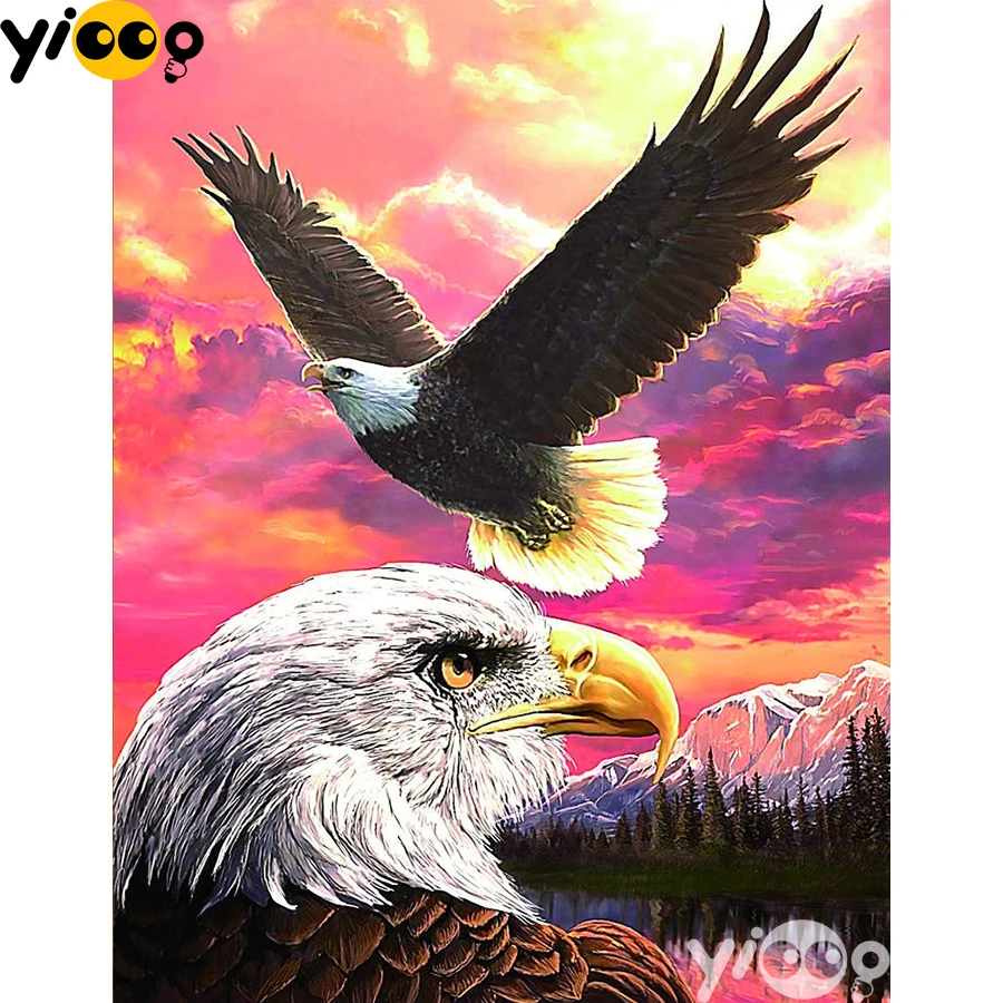 

Full Square/Round Drill Diamond Painting Cross Stitch Embroidery Eagle Valley Rhinestone Mosaic Home Decor Gift AX2909