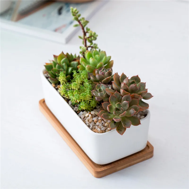 

Oblong Ceramic Succulent Flower Pot with Bamboo Tray Green Planter Pots Desktop Decor Bonsai Landscape Flowerpot