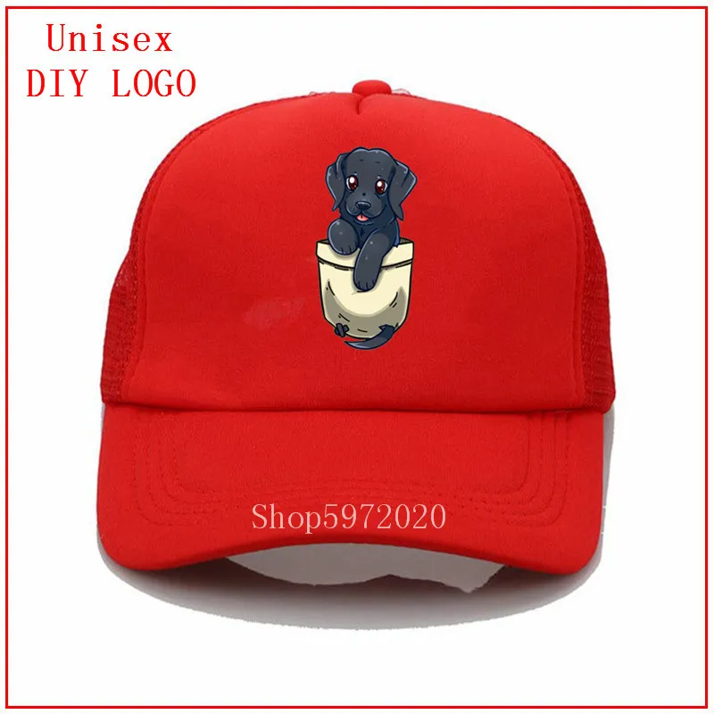 Черный лабрадор собака бейсбольная кепка ретривер милый Карманный techrapockets