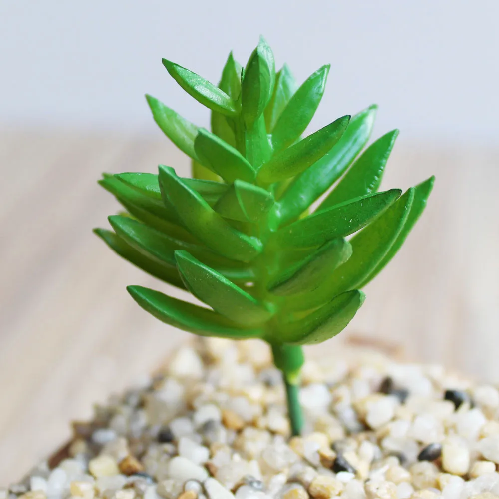 Искусственные суккуленты для украшения растение лотоса трава пустынный