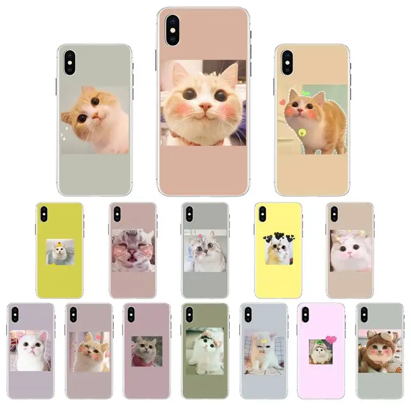 

Cute Funny Funny Kitten Cat Phone Case For iphone 13 X XS MAX 11 12 pro max 6 6s 7 7plus 8 8Plus 5 5S XR se 2020 case