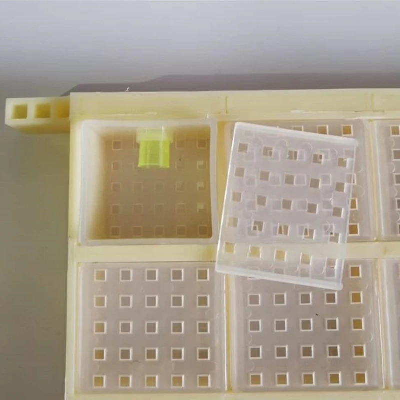 

2021 New Multifunctional Plastic Queen Bee Storage Device Bee Cage Box for Queen Rearing Mar-4
