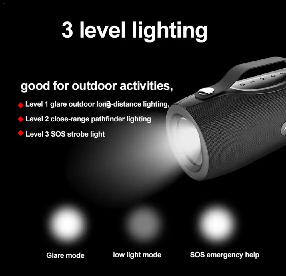 ZEALOT S29 Bluetooth 5,0 динамик Портативный наружное радио fm Bluetooth динамик Мобильная мощность SOS аварийный фонарик TF карта Subwo