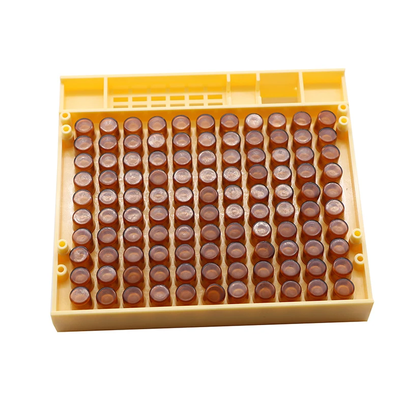 

5set Bees Queen Rearing System Cultivating Box bee cell cups plastic Beekeeping Tools Queen bee breeding special tools hot sale
