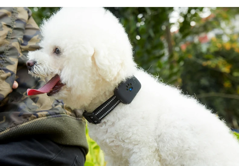 

A21P IP67 Waterproof GPS WIFI Two Way talk Kids Elder Pets Dog Cat SOS Call Real Time Tracker Locator Finder Anti-lost Monitor