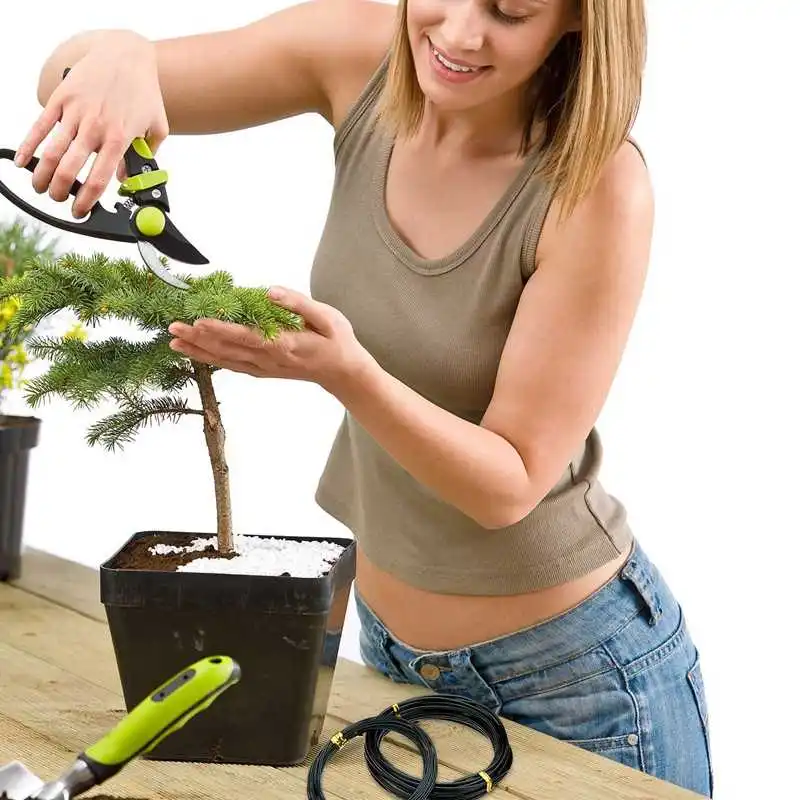 

9 Rolls Bonsai Wires Anodized Aluminum Bonsai Training Wire with 3 Sizes (1.0 Mm,1.5 Mm,2.0 Mm),Total 147 Feet (Black)