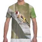 Футболка с принтом Goldfinch, мужская, женская, с коротким рукавом