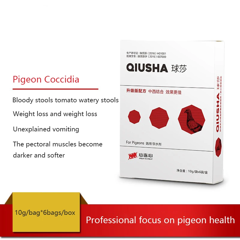 Pigeon racing pigeons resist the removal of coccidia, loose blood, stool powder, and loose feathers