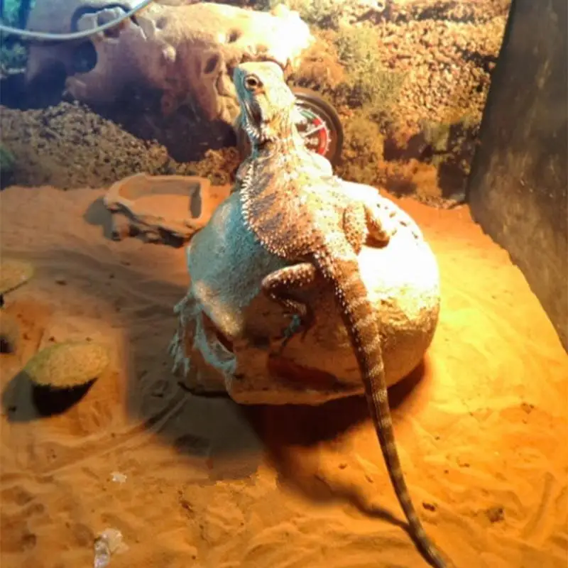 Украшение для аквариума Ландшафтная статуя черепа из кости подарки смолы