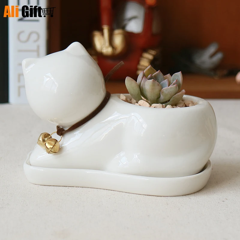 Горшок Кашпо для суккулентов белый керамический горшок растений|meat body|meat factoryflower