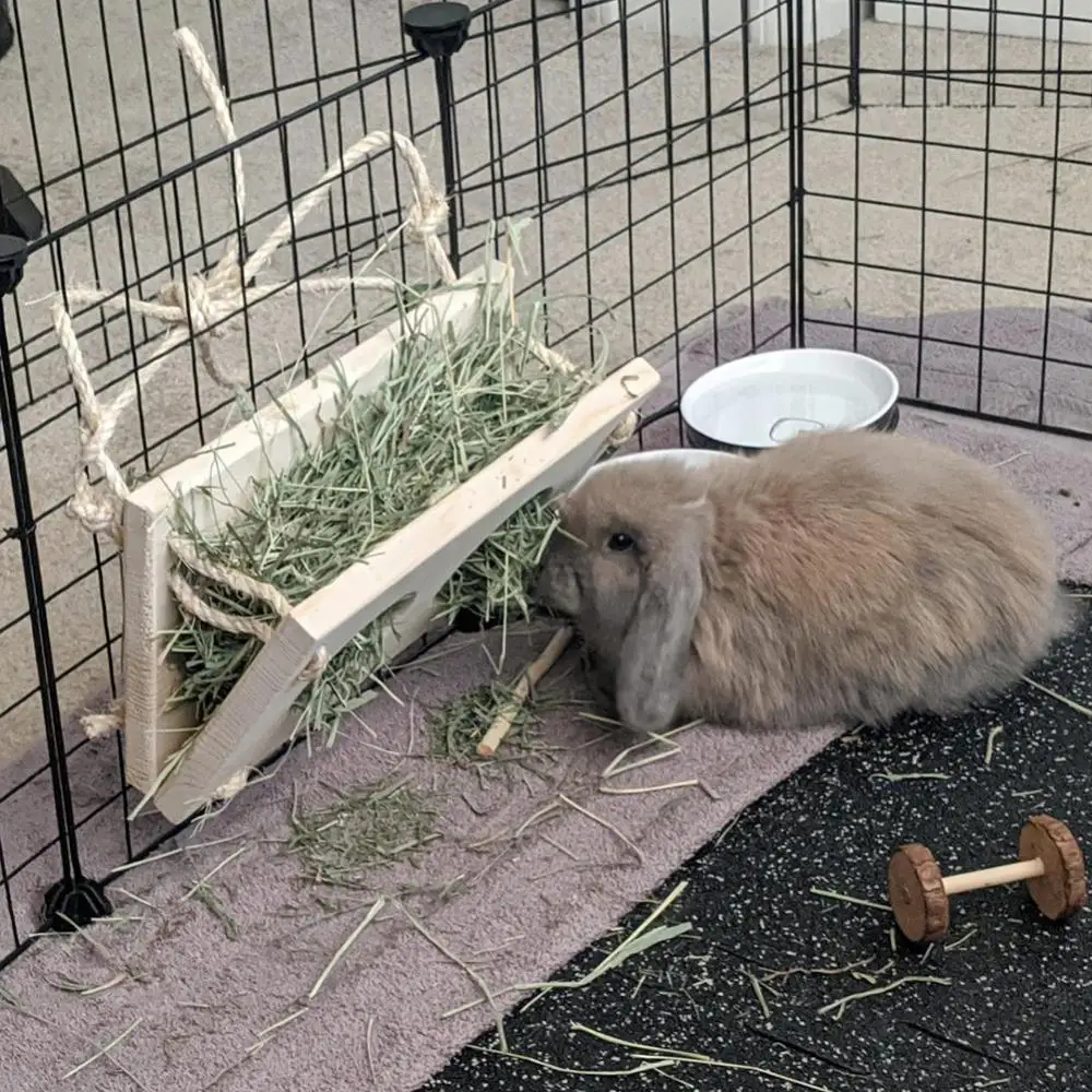 Маленький Домашний хомяк кролик деревянная кормушка для сена держатель