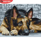 Набор для рисования по номерам на холсте, собаки