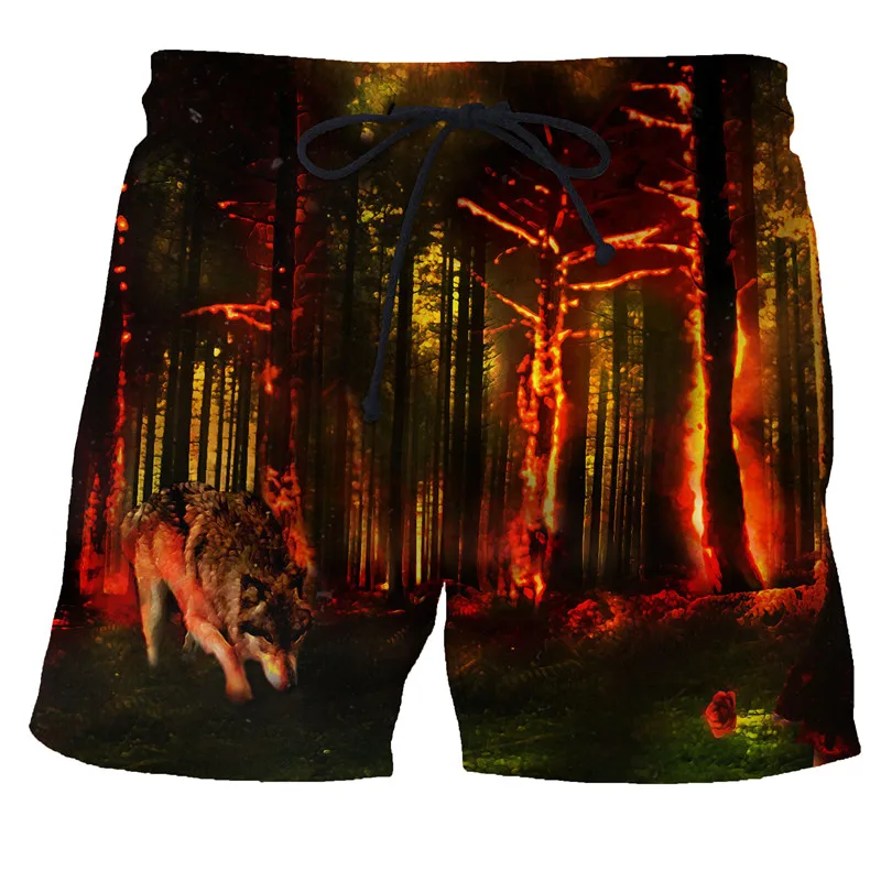 

3D- , 6XL