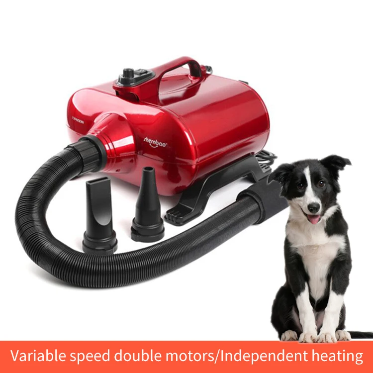 Soplador de agua de 3000W para perros y gatos, doble Motor, para aseo, peque&ntilde;o, montado en la pared, soporte para estante-5