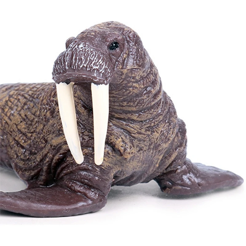 

Sea Life Animals Walrus Model Figurines Simulation Models Toys