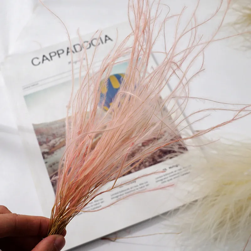 

1 Bouquet Romantic Natural Dried Flowers Feather Grass Home Office Window Decoration DIY Wedding Arrangement Photo Props