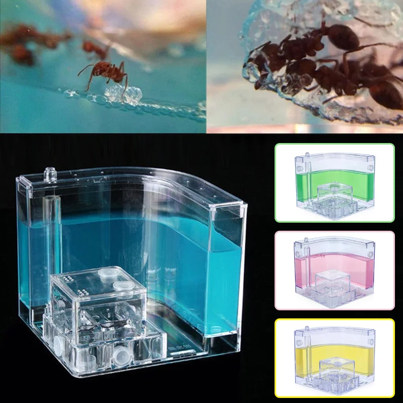 Красочные муравьиные домики прозрачные Смешные специально вилла Домашнее