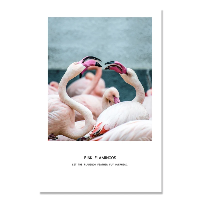 Pink Flamingo Nordic Poster Prints Animal Wall Art Canvas Painting Cuadros Picture Posters Modern Gifts Home Decor Unframed | Дом и сад