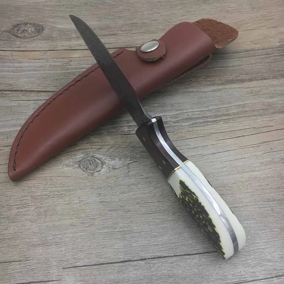 

Handmade Forged Damascus Steel Hunting Knife Fixed Knife Rosewood+ Antler with Cowhide Leather Cover