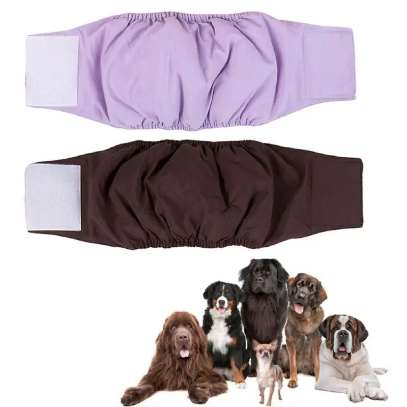 

Strong Absorbent Waterproof Reusable Male Pet Dog Diaper Physiological Pants Breathable Waterproof Shorts NW