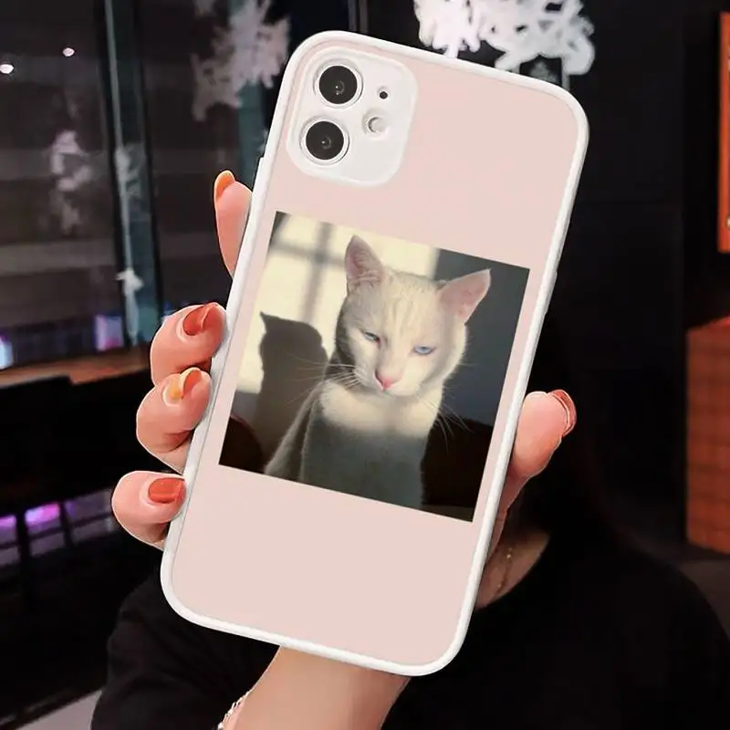 

cat animal cute Phone Case Matte Transparent for iPhone 7 8 11 12 s mini pro X XS XR MAX Plus cover funda
