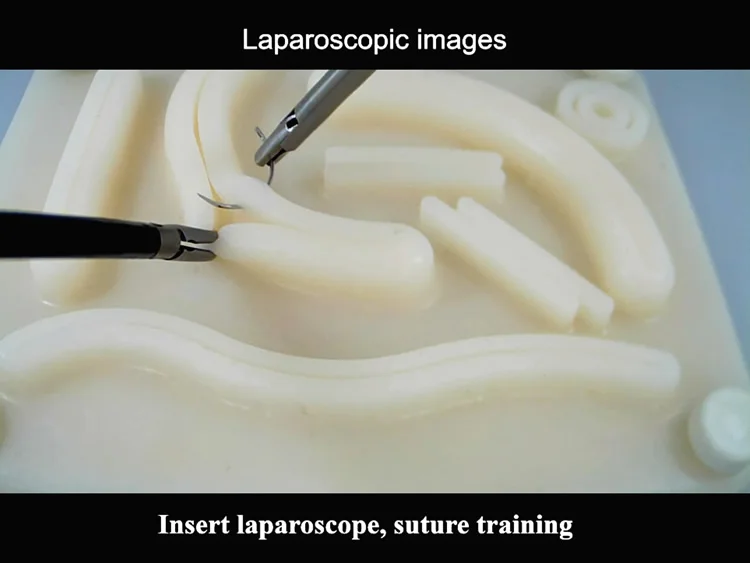 Лапароскопический симулятор лапароскопический тренировочный мягкий живот
