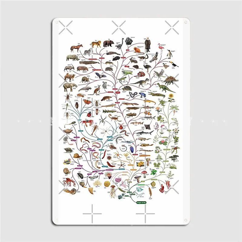 

Darwinian Evolutions Tree Of Life Metal Plaque Poster Classic Cinema Living Room Party Garage Decoration Tin Sign Posters
