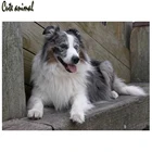 Милое животное DIY круглая Алмазная вышивка граница колли 3 d вышивка крестом Алмазная мозаика, стразы алмазная живопись полный квадрат