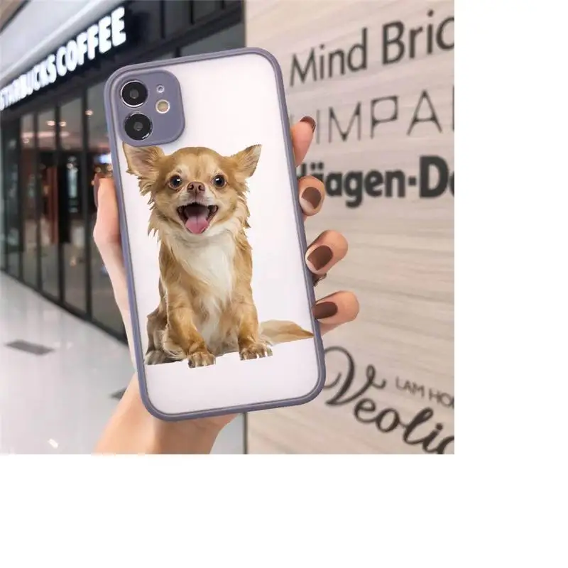 

Cute animal Chihuahua Dog Phone Cases matte transparent For iphone 7 8 11 12 plus mini x xs xr pro max cover