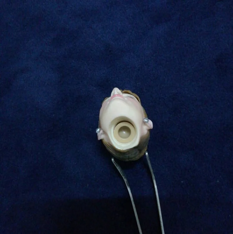 

1/6 Scale Beauty Girl Audrey Hepburn Head Sculpt With Hard Hair Model For 12" Pale Skin Female Action Figure Body