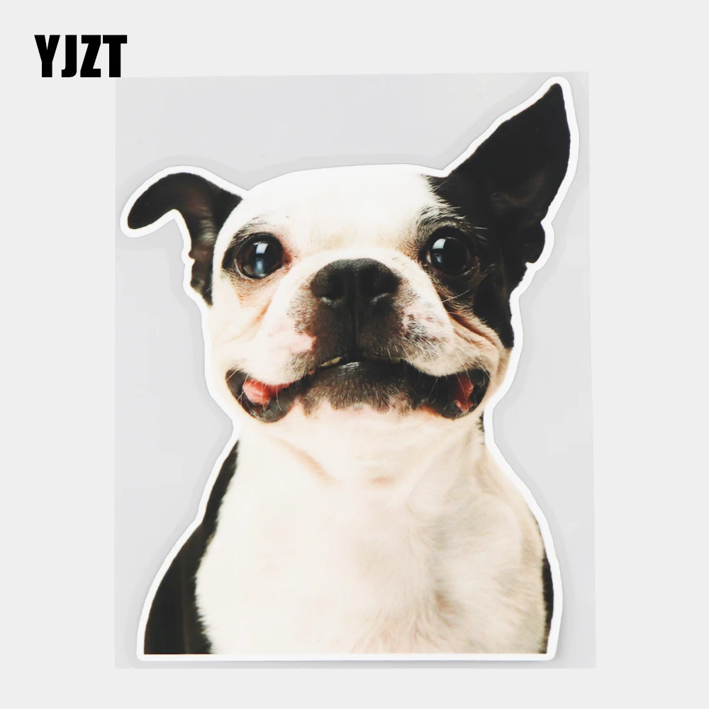 

YJZT 14×18CM Cute Bulldog Bumper Decoration Animal Decals Fashion Car Stickers Accessories 21A-0168
