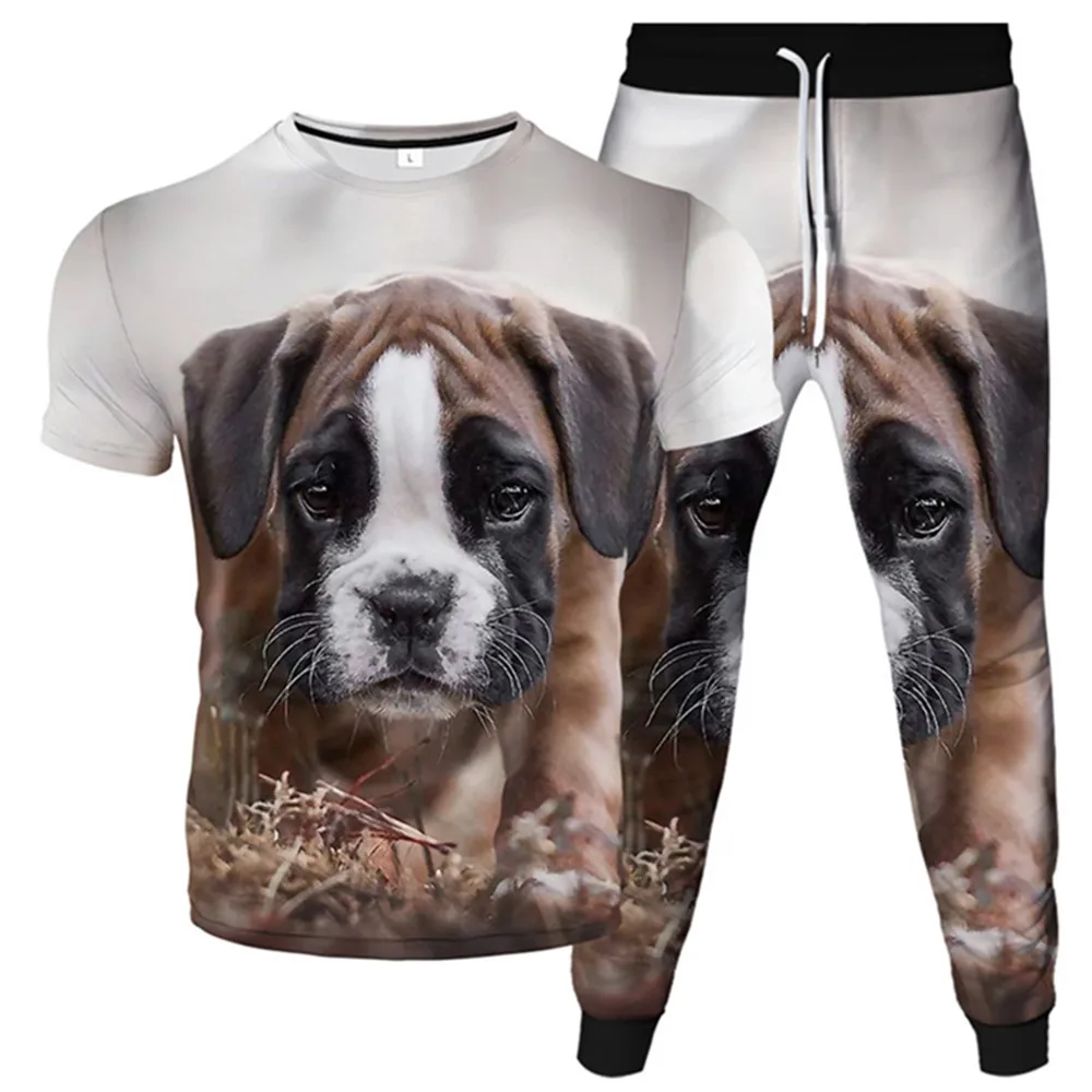 2 шт./комплект футболка и брюки для мужчин женщин с 3D-принтом | Мужская одежда