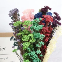 50g eternal dry rice flower millet flowers heads diy home wedding party decor natural centerpieces decoration