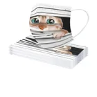 1050 шт для взрослых с рисунком кота маска 3D одноразовая маска для лица милый котенок на открытом воздухе маска промышленные 3Ply петли уха mascarillas