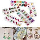 1 коробка, искусственные сухие растения для эпоксидной смолы