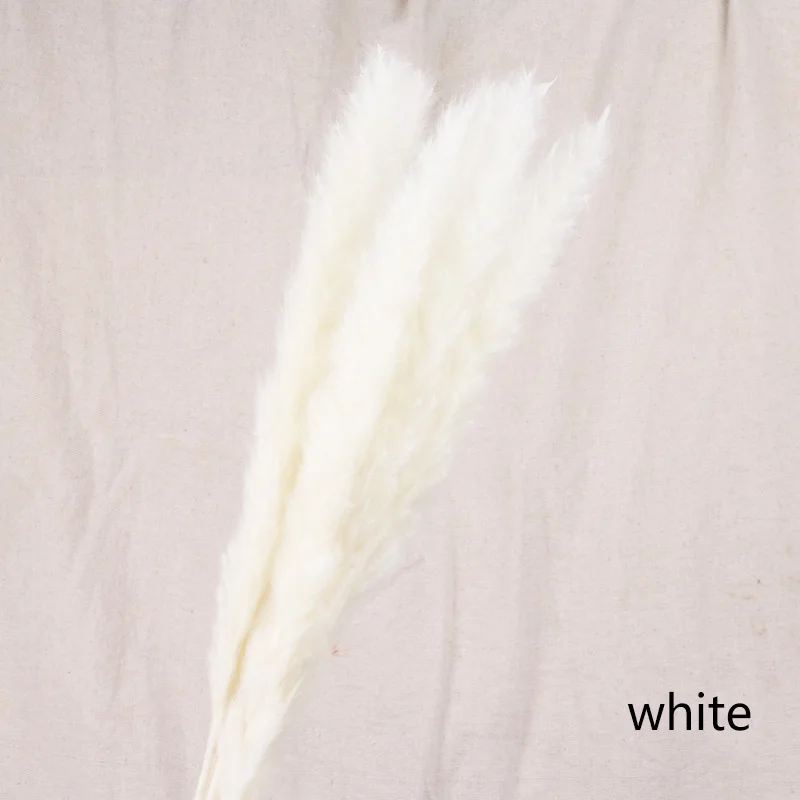 white 7 шт. Bulrush Натуральные Сушеные маленькие пампасы травы Phragmites растения искусственные, свадебные цветы букет домашний Рождественский Декор искусственный цветок - Цвет: white