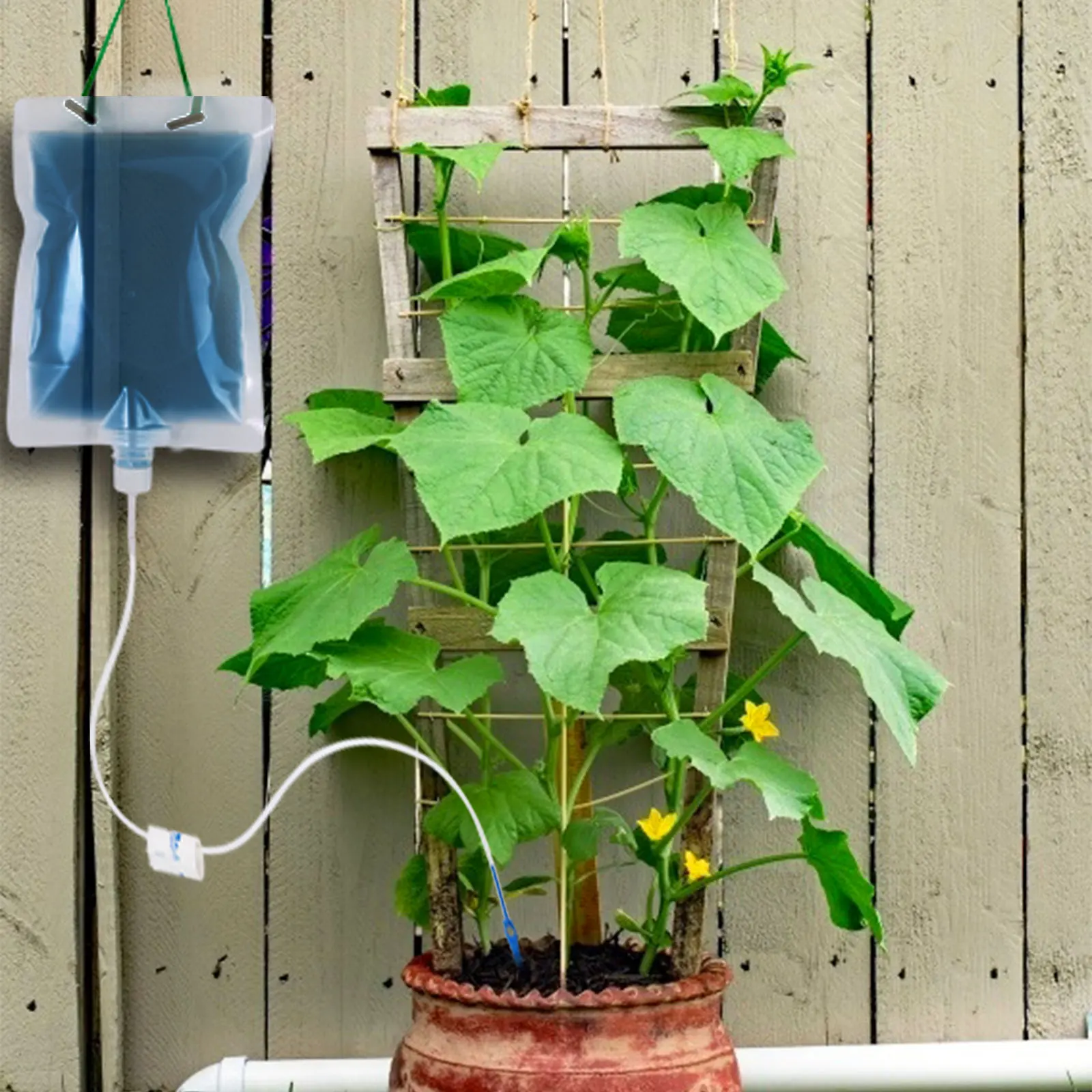 

3 Pcs Plant Support Drip Self Automatic Watering System Drip Irrigation Device