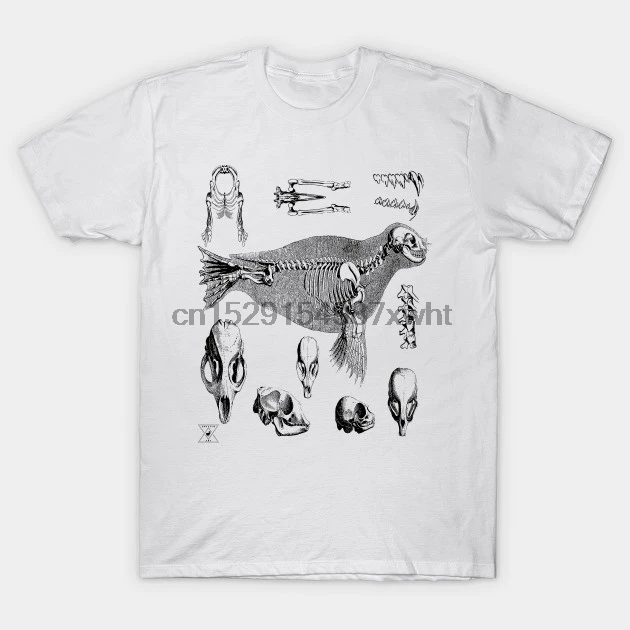 Мужская футболка морской лев печать океан животное млекопитающее Морская жизнь