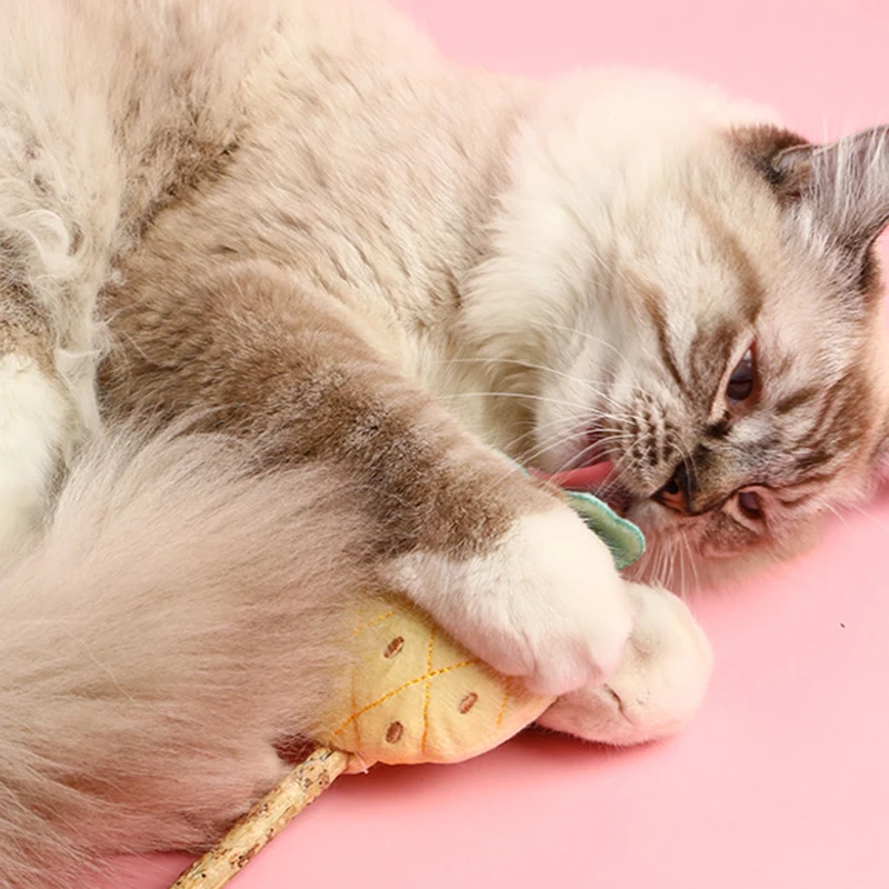 Плюшевые игрушки для кошек С Кошачьей Мятой милые фрукты Зефина форма палочке
