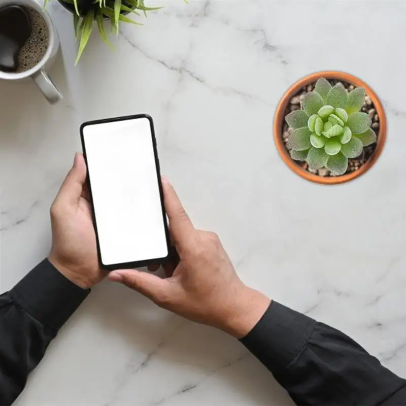 Суккулентные растения DIY искусственные мини-цветы для сада домашний декор