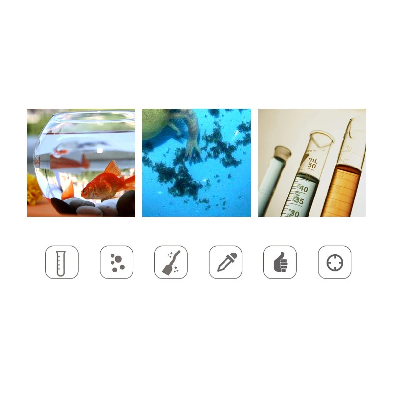 Промо-акция! Всасывающая ручная разминающая Черепаха Рыба экскремент навоз