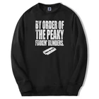 Мужская толстовка с капюшоном, на зиму, 2021