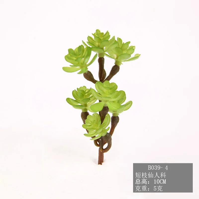 Моделирование суккулентного растения горячая Распродажа одностворчатое