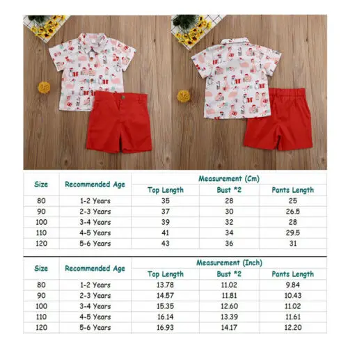 

Pudcoco 2020 Winter Christmas 2-6Y Toddler Kids Baby Boy 2Pcs Set Animals Giftbox Print Cartoon T-Shirt+Red Shorts Xmas Outfits