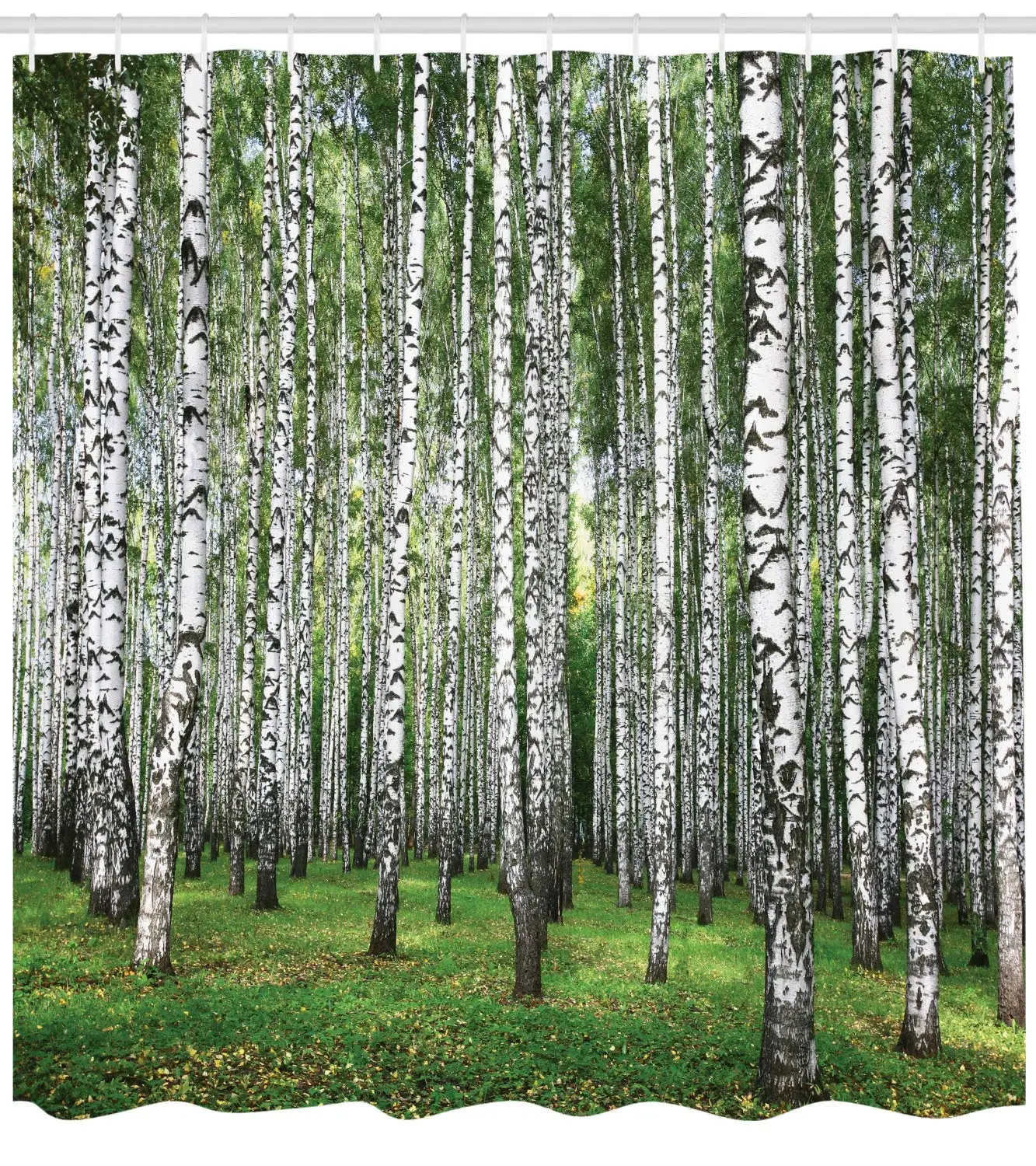 Farm House Decor Collection Autumn Trees in Birch Forest September Time View Picture Polyester Fabric Bathroom Shower Curtain | Дом и сад