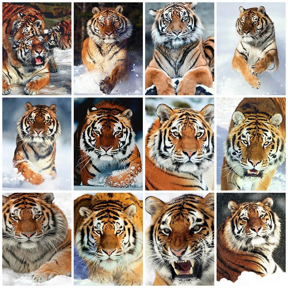 

Momoart 5D Diamond Painting Tiger Winter Diamond Embroidery Animal Mosaic Cross Stitch Rhinestone Picture Full Square Home Decor