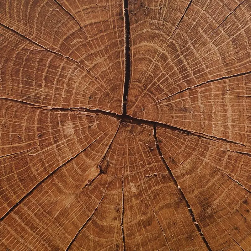 Подставка под посуду деревянные коврики для стола обеденная посуда подставка в