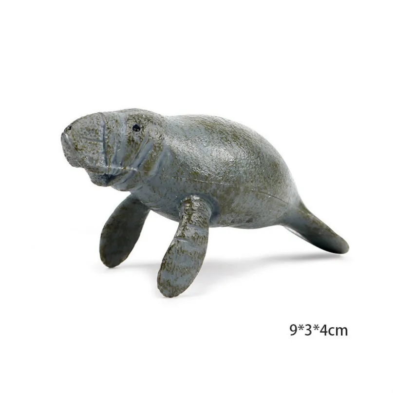 small manatee A Модель осьминога, Акула, парусник, модель осьминога, фигурка морской жизни, образовательная фигура, океан, с животными из ПВХ, игрушка для детей, Детский декор, подарок - Цвет: small manatee A